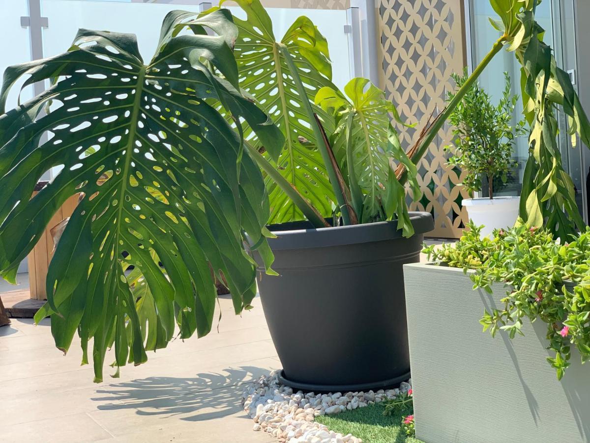 Dalu Suite Terrace Bari Exterior photo
